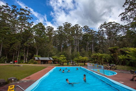 Tahune Airwalk Active Day Trip From Hobart Including Hastings Caves - Tourism Brisbane 2