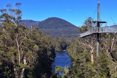 Tahune Airwalk Active Day Trip From Hobart Including Hastings Caves - Tourism Brisbane 6