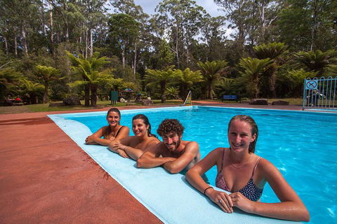 Tahune Airwalk Active Day Trip From Hobart Including Hastings Caves - Tourism Brisbane 4