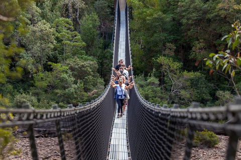 Tahune Airwalk Active Day Trip From Hobart Including Hastings Caves - Tourism Brisbane 0