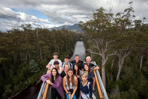 Tahune Airwalk Active Day Trip From Hobart Including Hastings Caves - Tourism Brisbane 1