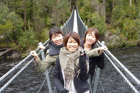 Tahune Airwalk Active Day Trip From Hobart Including Hastings Caves - Tourism Brisbane 7