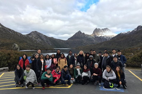 Shore Excursion - Cradle Mountain Day Tour From Burnie - Brisbane Tourism 4