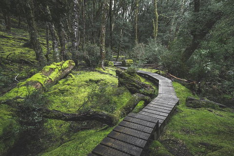 Shore Excursion - Cradle Mountain Day Tour From Burnie - Brisbane Tourism 2