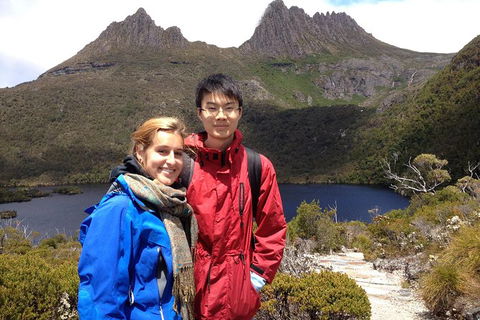 Shore Excursion To Cradle Mountain From Burnie ( Cruise Ship Favourite) - Tourism Brisbane 1
