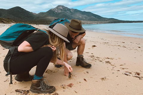 Freycinet Walking Tour - Tourism Brisbane 0
