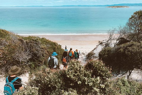 Freycinet Walking Tour - Tourism Brisbane 2