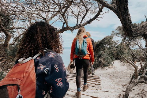 Freycinet Walking Tour - Tourism Brisbane 6