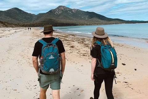 Freycinet Walking Tour - Tourism Brisbane 7
