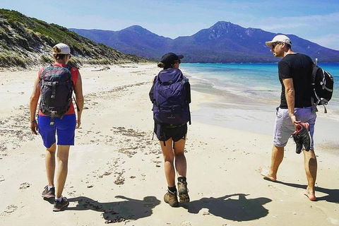 Freycinet Walking Tour - Tourism Brisbane 1