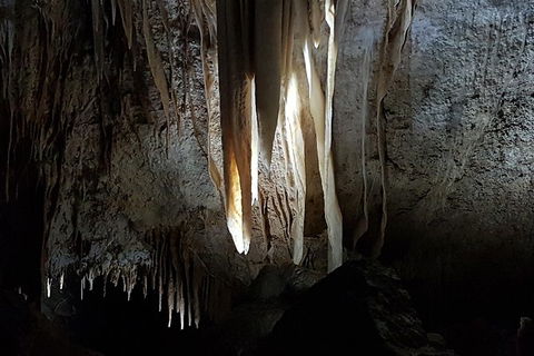 Shore Excursion: Coast, Caves And Wildlife Park - 8 Hour Tour - Tourism Brisbane 10