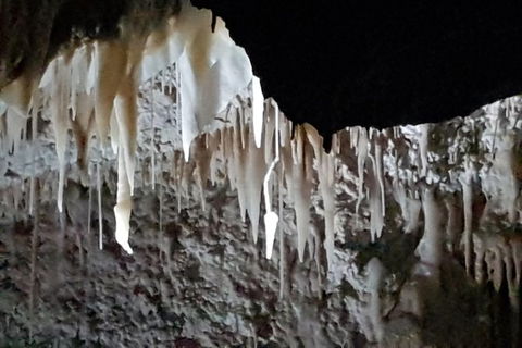 Shore Excursion: Coast, Caves And Wildlife Park - 8 Hour Tour - Tourism Brisbane 21