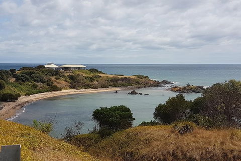 Shore Excursion: Coast, Caves And Wildlife Park - 8 Hour Tour - Tourism Brisbane 0