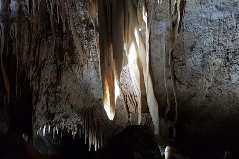 Shore Excursion: Coast, Caves And Wildlife Park - 8 Hour Tour - Tourism Brisbane 7