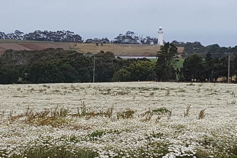 Cruise Ship Excursion: NW Tassie Coastal Explorer - Tourism Brisbane 14
