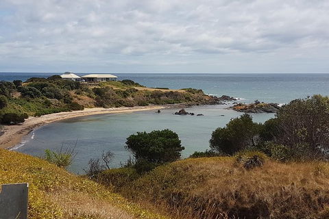 Cruise Ship Excursion: NW Tassie Coastal Explorer - Tourism Brisbane 13