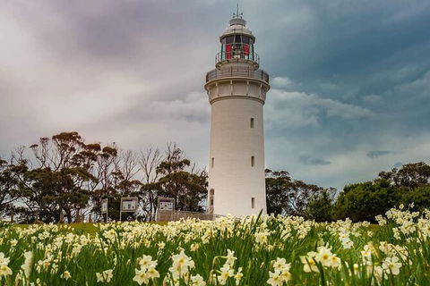 Table Cape Lighthouse Tours - Tourism Brisbane 7