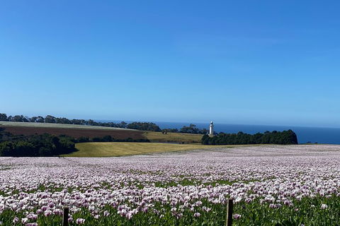 Table Cape Lighthouse Tours - Tourism Brisbane 8