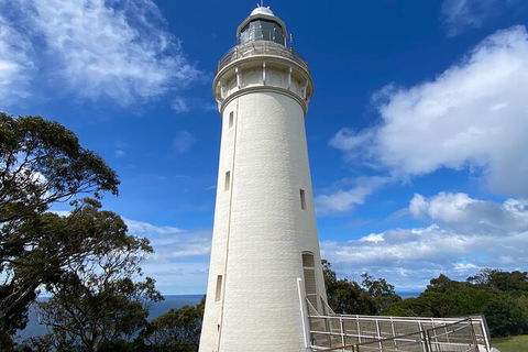 Table Cape Lighthouse Tours - Tourism Brisbane 4