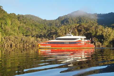 Afternoon Gordon River Dinner Cruise - Departing 3pm - Brisbane Tourism 1