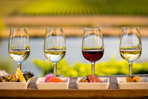 Launceston Wine & Sightseeing Tours - Tourism Brisbane 4