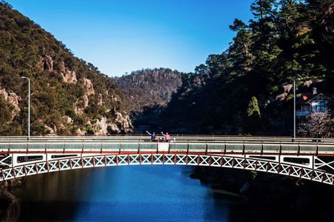 3.5 Hours Walking Tour To Cataract Gorge With Local Guide - Brisbane Tourism 5