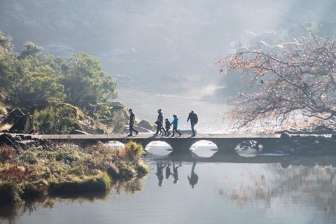 3.5 Hours Walking Tour To Cataract Gorge With Local Guide - Brisbane Tourism 4