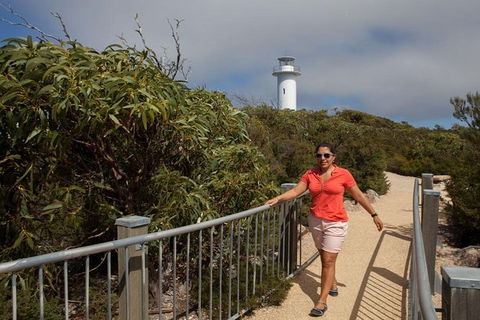Half-Day Tour To Wineglass Bay From Launceston With Guide - Tourism Brisbane 2