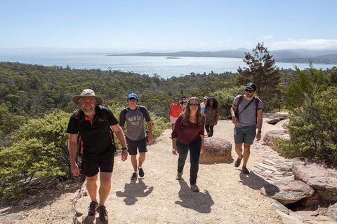 Half-Day Tour To Wineglass Bay From Launceston With Guide - Tourism Brisbane 4