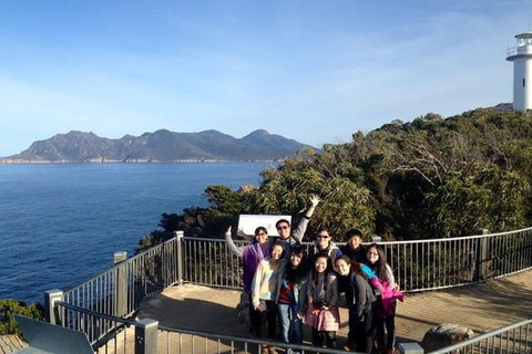 Half-Day Tour To Wineglass Bay From Launceston With Guide - Tourism Brisbane 3