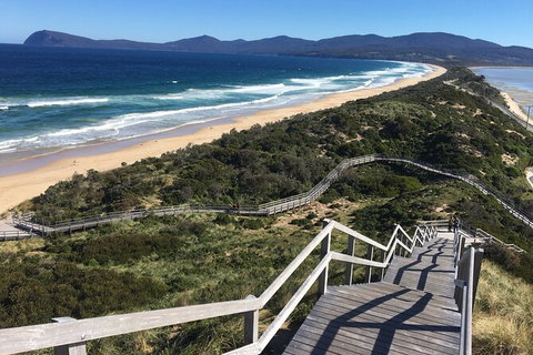 4-Day Fabulous Tasmania Tour: Wineglass Bay, Port Arthur, Devils & Bruny Island - Brisbane Tourism 3