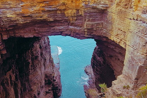 4-Day Fabulous Tasmania Tour: Wineglass Bay, Port Arthur, Devils & Bruny Island - Brisbane Tourism 6