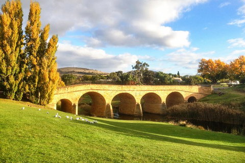 4-Day Fabulous Tasmania Tour: Wineglass Bay, Port Arthur, Devils & Bruny Island - Brisbane Tourism 7