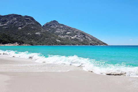 Sea & Explore Wineglass Bay & Freycinet National Park - Cruise & Walk - Brisbane Tourism 4