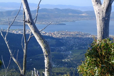 Mt. Wellington Morning Hike + Afternoon Beer & History Walk - Tourism Brisbane 10