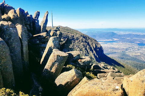 Mt. Wellington Morning Hike + Afternoon Beer & History Walk - Tourism Brisbane 11