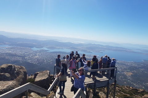 Mt. Wellington Morning Hike + Afternoon Beer & History Walk - Tourism Brisbane 2