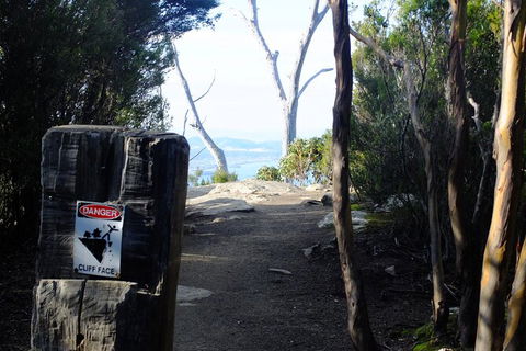 Mt. Wellington Morning Hike + Afternoon Beer & History Walk - Tourism Brisbane 14