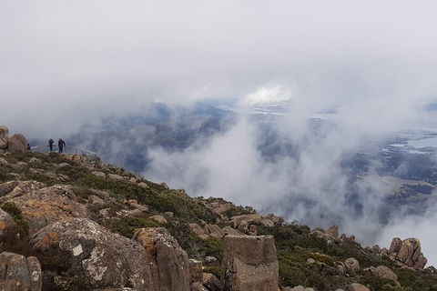 Mt. Wellington Morning Hike + Afternoon Beer & History Walk - Tourism Brisbane 18