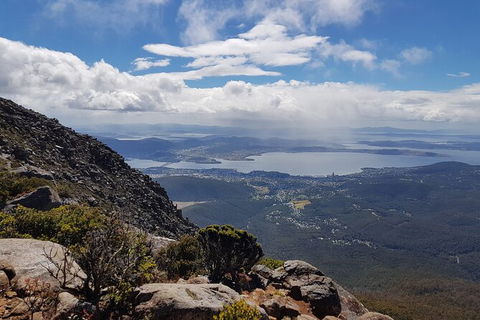 Mt. Wellington Morning Hike + Afternoon Beer & History Walk - Tourism Brisbane 5