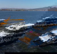 Moorilla Estate's Posh-As Day at Mona - Tourism Brisbane