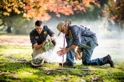 Aboriginal Heritage Walk - Royal Botanic Gardens Victoria, Melbourne Gardens - Tourism Brisbane 0