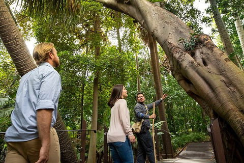 Aboriginal Heritage Walk - Royal Botanic Gardens Victoria, Melbourne Gardens - Tourism Brisbane 1