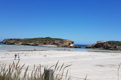 Warrnambool Wanderer Tour - Tourism Brisbane 1