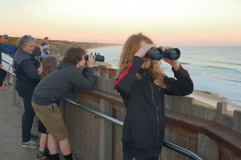 Warrnambool Wanderer Tour - Tourism Brisbane 2