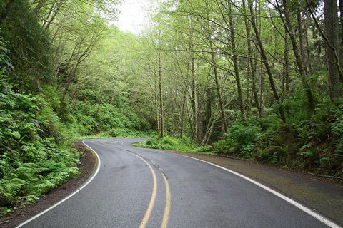 Cruise Ship Shore Excursion - Private Great Ocean Road Full Day Tour (12 Hour) - Tourism Brisbane 1
