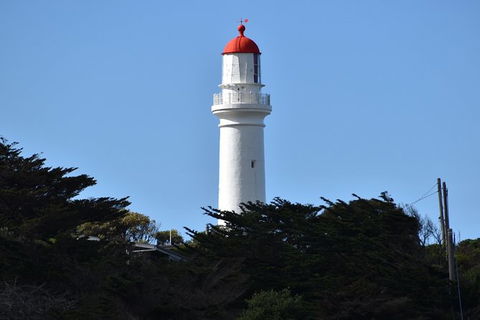 Great Ocean Road Tour Plus Koalas, Forest Walk And Morning Tea. - Tourism Brisbane 1