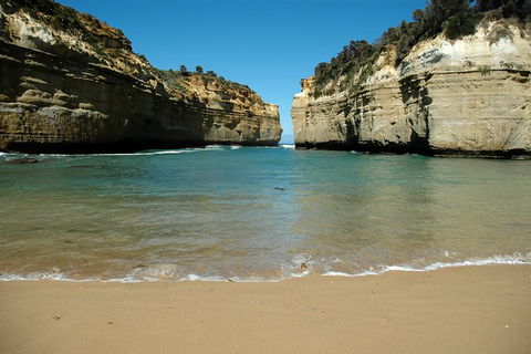 Great Ocean Road Tour Plus Koalas, Forest Walk And Morning Tea. - Tourism Brisbane 4