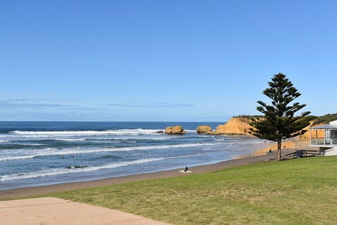 Great Ocean Road Tour Plus Koalas, Forest Walk And Morning Tea. - Tourism Brisbane 3