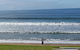 Great Ocean Road Tour Plus Koalas, Forest Walk And Morning Tea. - thumb 9